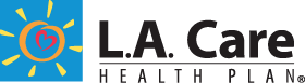 Supporting the HITEC-LA EHR program